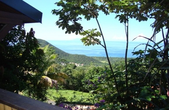 Guadeloupe & Martinique