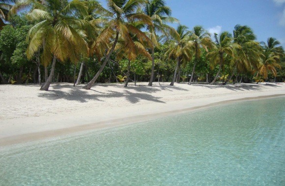 St. Vincent & Grenadinerne