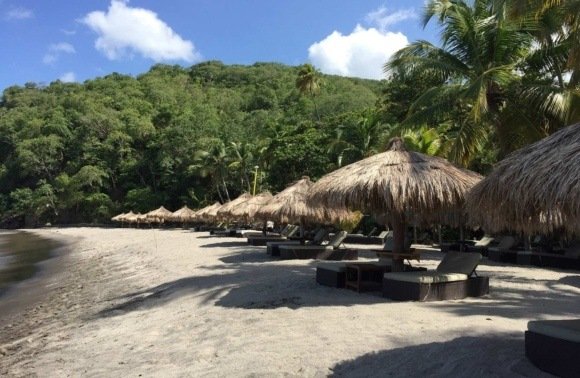 Barbados & St. Lucia